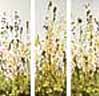 images/BUCHER-CAPORICCI/3.jpg