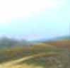 images/VACEK/10.jpg